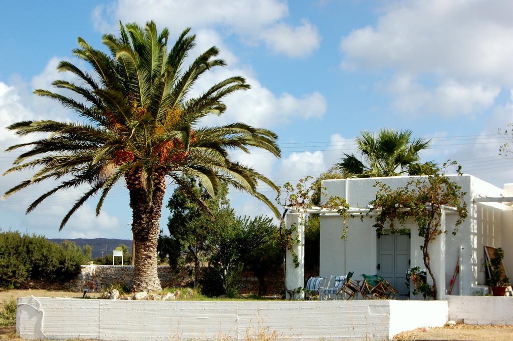 Kastrákion Scala Apartments מראה חיצוני תמונה