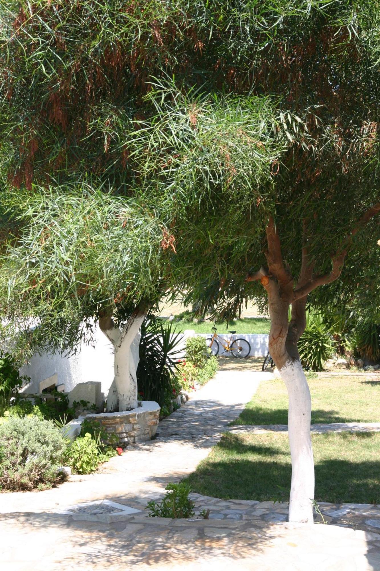Kastrákion Scala Apartments מראה חיצוני תמונה