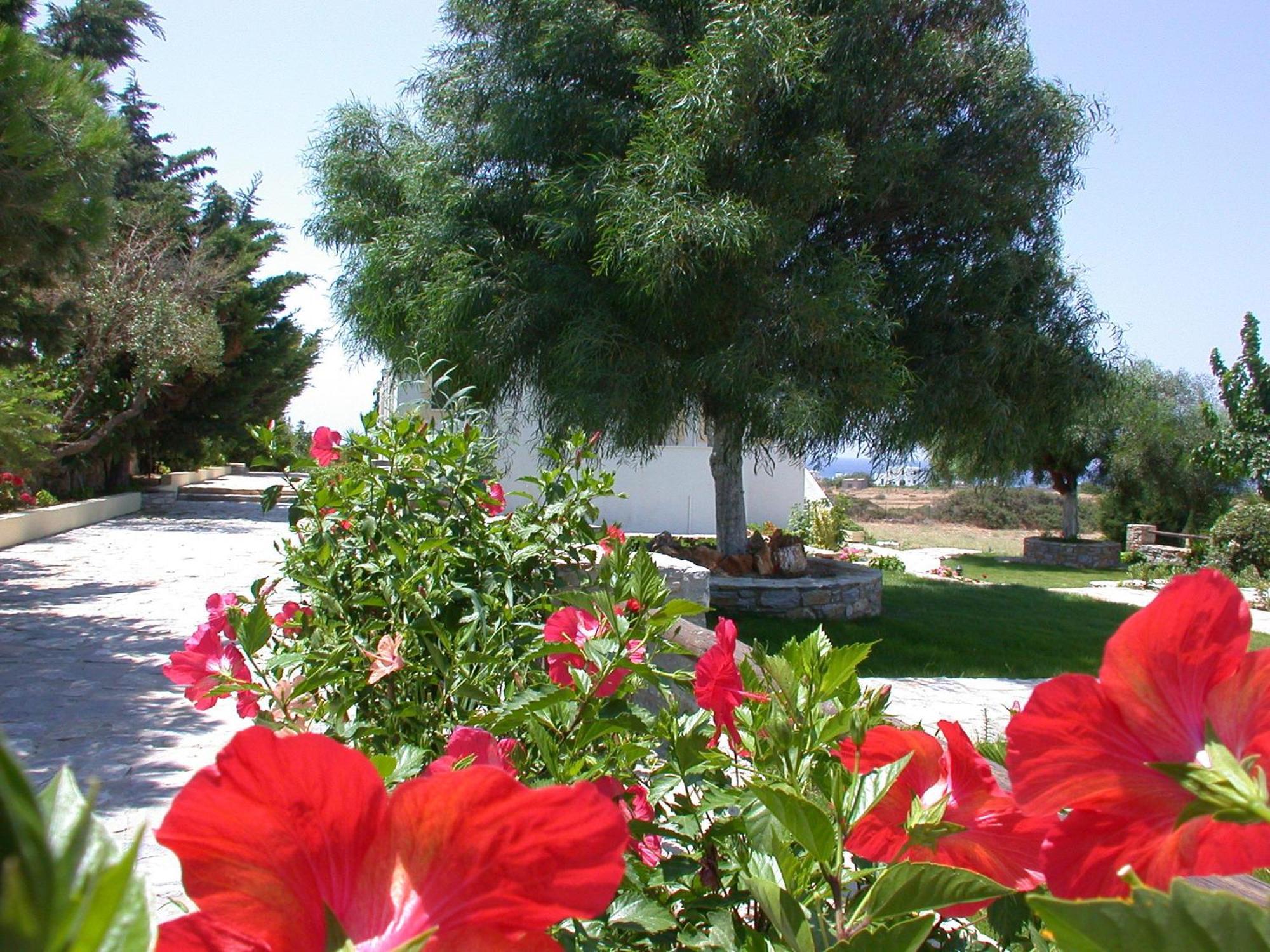 Kastrákion Scala Apartments מראה חיצוני תמונה